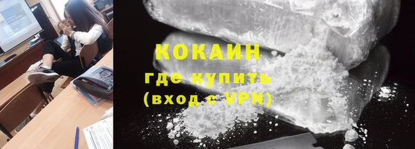 прущие грибы Каменск-Шахтинский
