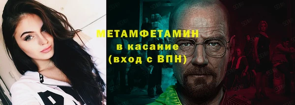 прущие грибы Каменка