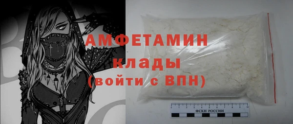 прущие грибы Каменка