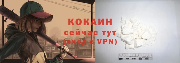 прущие грибы Каменка