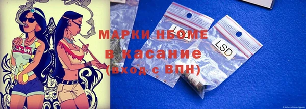 амф Каменногорск