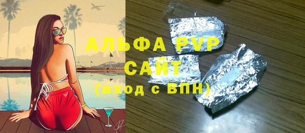 прущие грибы Каменка