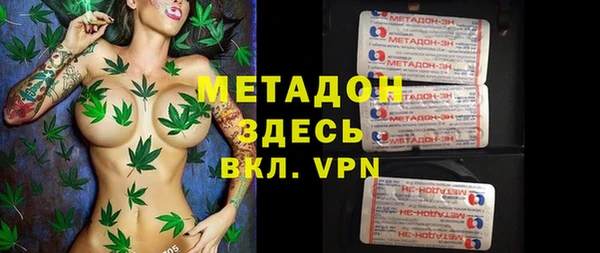прущие грибы Каменка