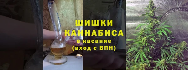 амф Каменногорск