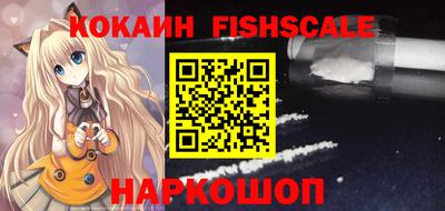 тгк Камышлов