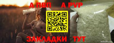 тгк Камышлов