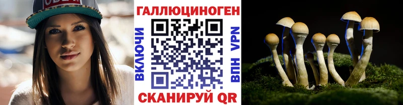 Галлюциногенные грибы GOLDEN TEACHER гидра ссылки Кинешма