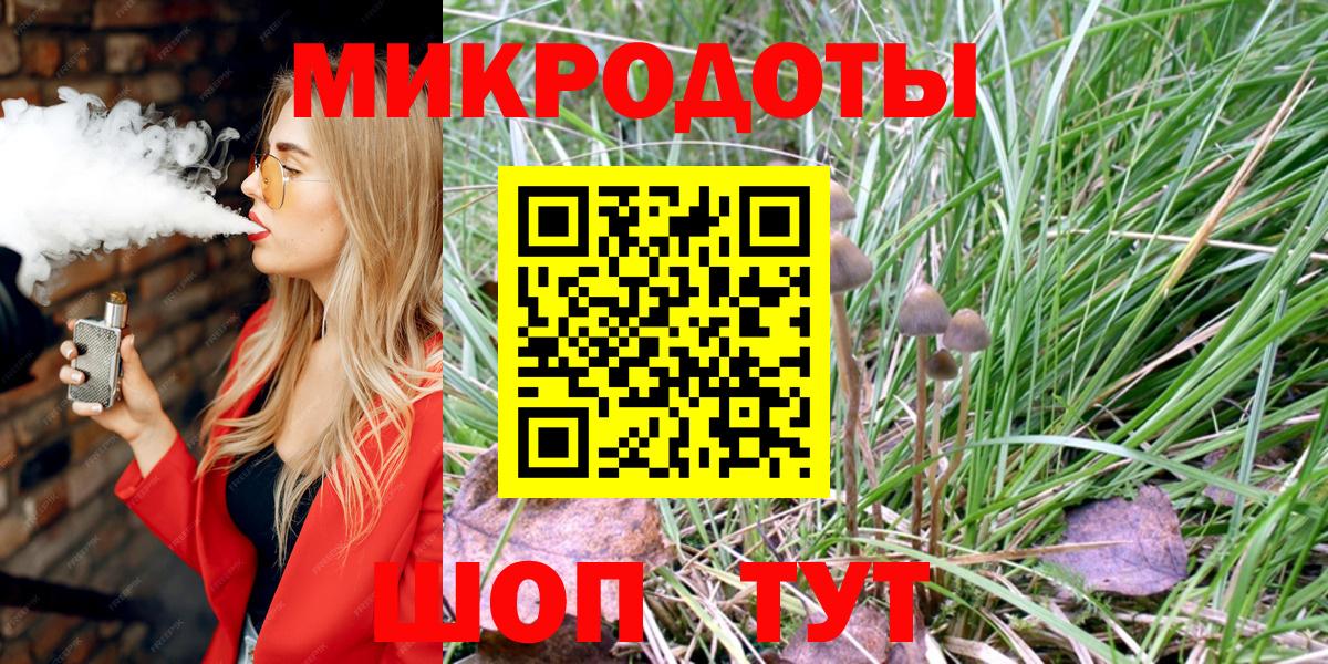 Галлюциногенные грибы Psilocybe Кинешма